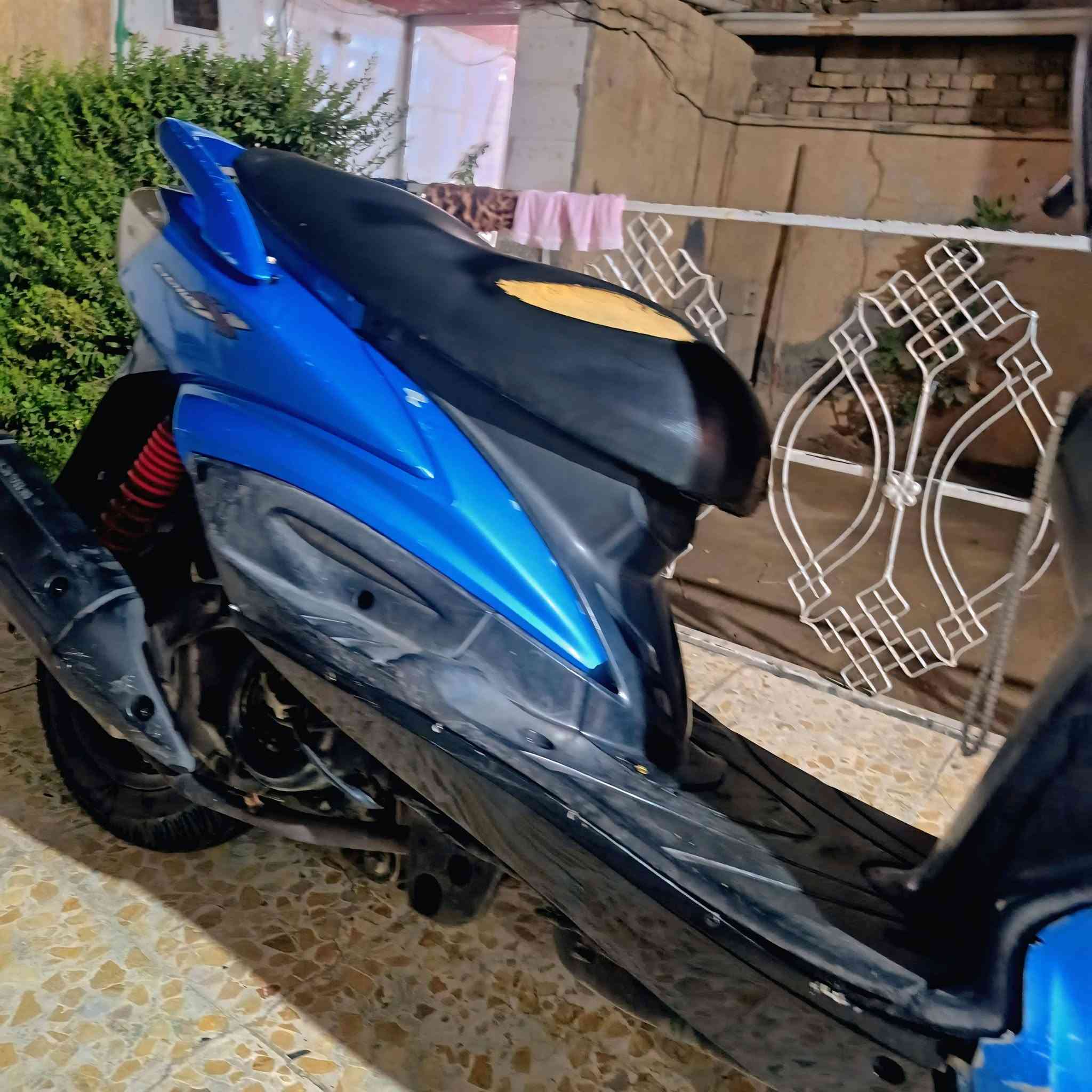 سكنس فحل • بلادية • ختم واحد