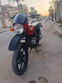 بوكسر جبلي • ٢٠٢١ • اوراق ضايعة
