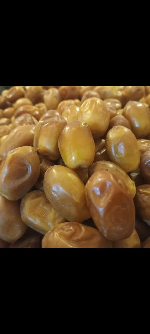 تمر ابو سلي • نوع نادر • عبدلي