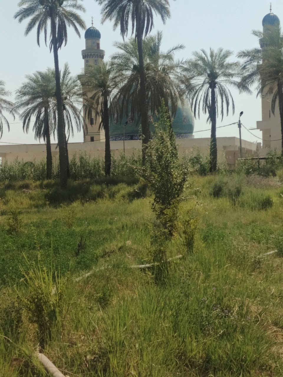 اسلام عليكم دونم ونص لبيع طابو زراعي سند 25 الواجه 60متر
خدمات كامله الوقع بني ساله مباشرتن وره جامع سيد شاكر
بسعر مناسب استفسار اتصال ع ***********
