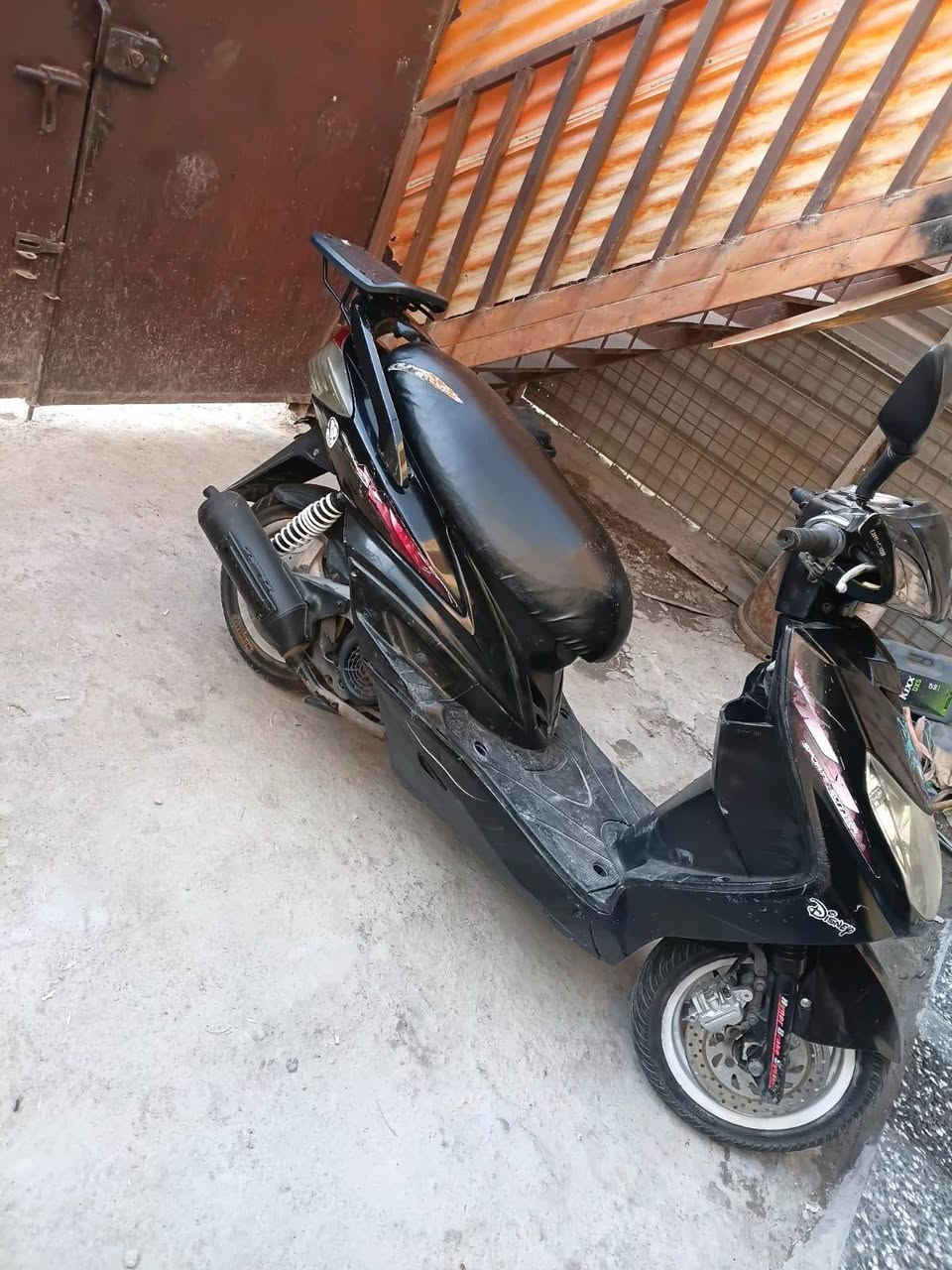سكنس فحل • جاهزة • ما بيها نقص