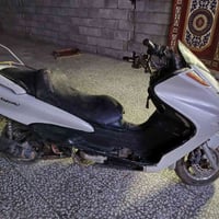 ماجستة • طافية • حك الجية