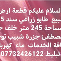 طابو زراعي • ٢٤٥م • ماء كهرباء