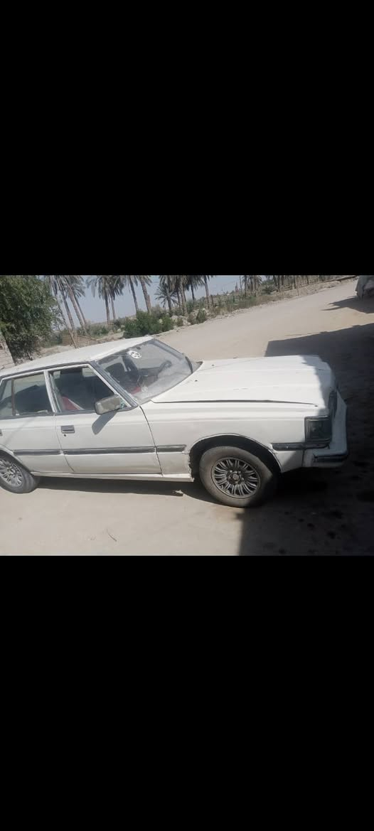 سوبر ٨٢ • ١٩٨٢ • سوك شيوخ