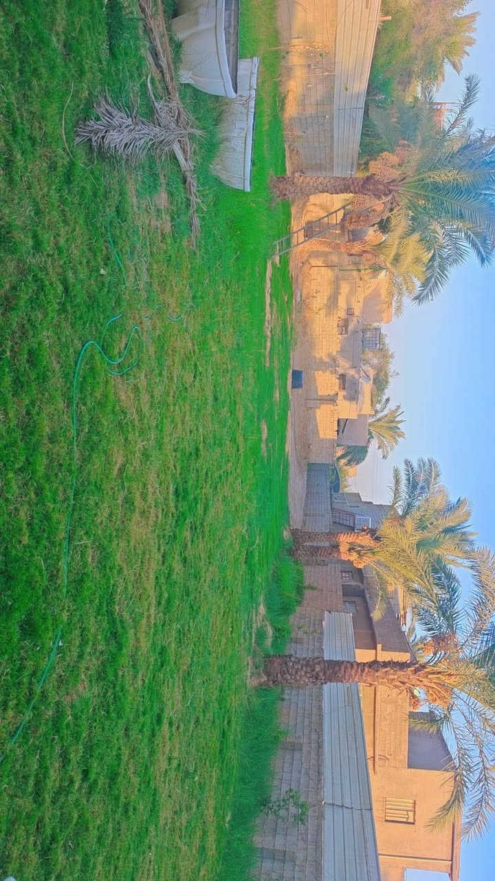 السلام عليكم توجد ارض للبيع مساحه ٩٥٠ متر جسر ديالى العريفيه شارع ابو مروان بل بدايه للتواصل ***********سعر كلش مناسب ٧٣ وبيه مجال
