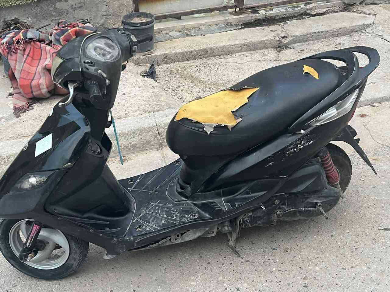 ثعلب • كابريتره تعبان • نضيف