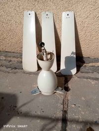 شغالات • على الفحص • شنو السعر