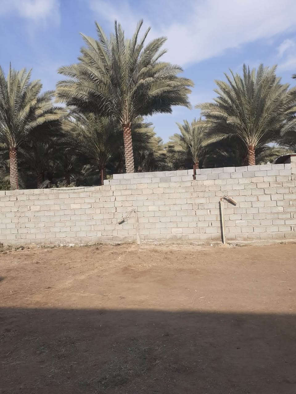 ٢٨٧م • مسيجة • ابو براق