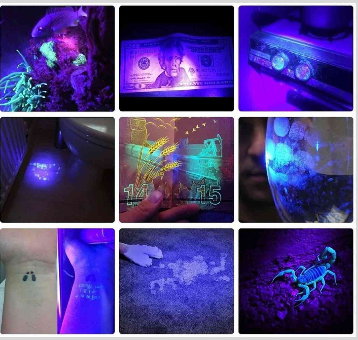 لايت UV • اشعة بنفسجية • واتساب