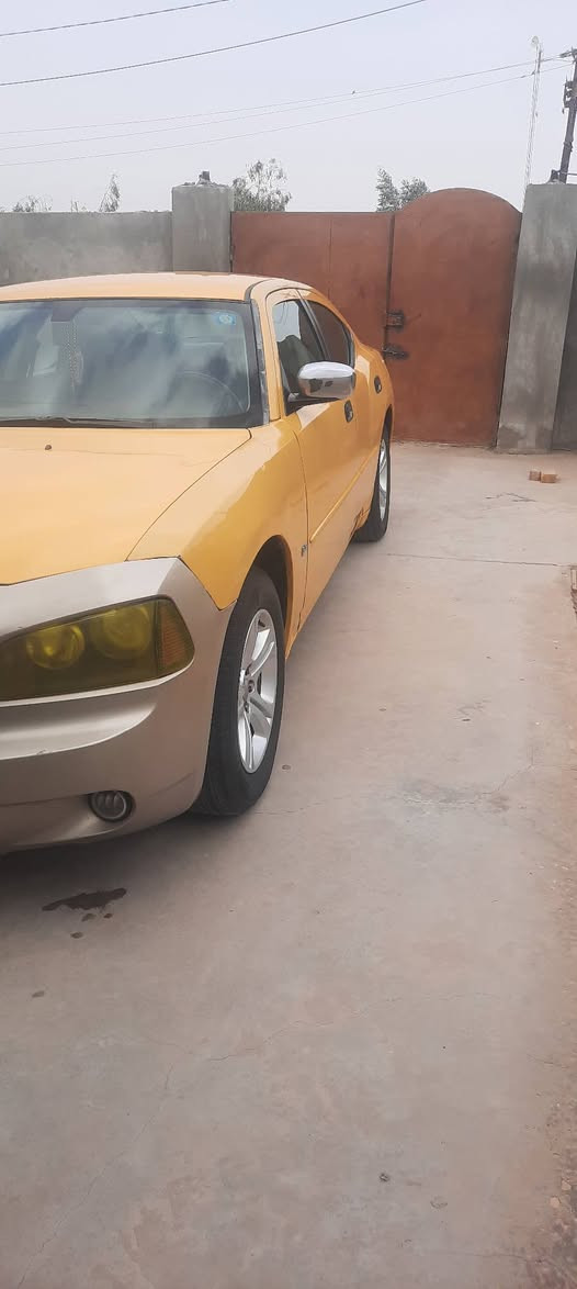 ديوانيه • خط وبحث • ١١٠٠٠٠ كم