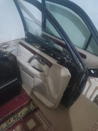 بيبان • أخضر • ما بيهن ضربه