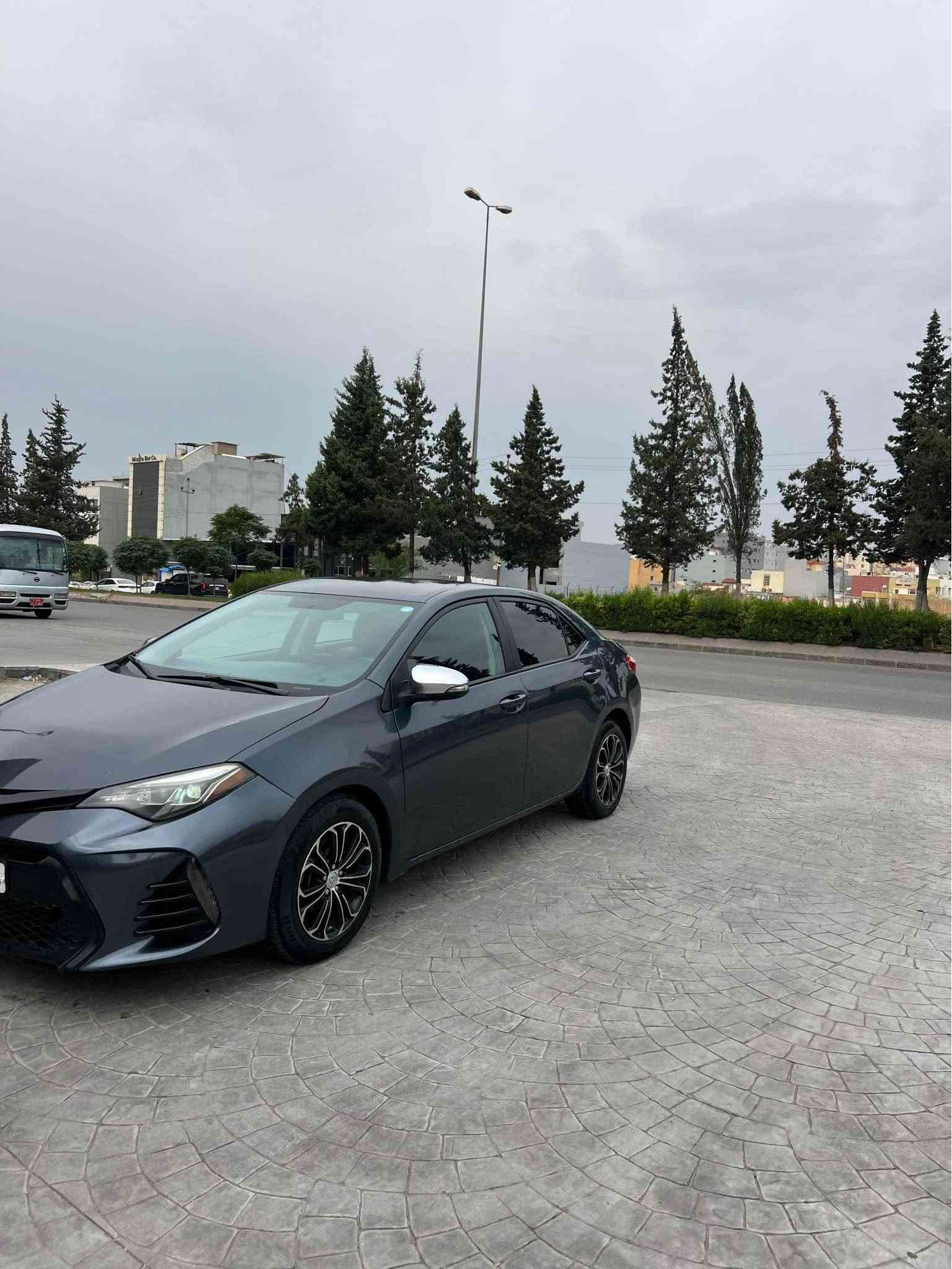 بيكاشو • ٢٠١٥ • دهوك