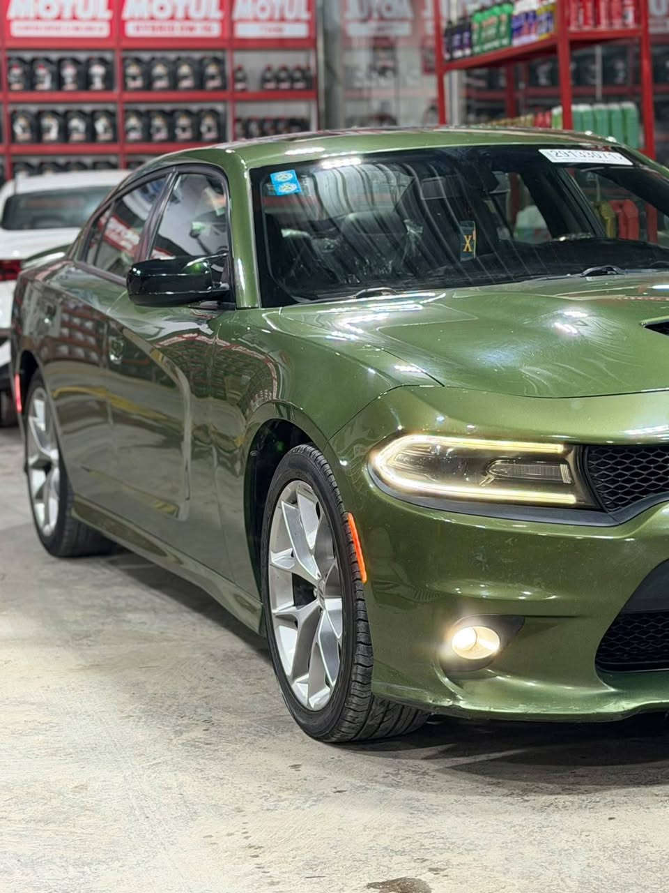 جارجر GT 2019
لون زيتوني
رقم بغداد مميز  
السعر: 24,500$
السيارة كلين بيه بارد فقط 
رقم بغداد بسمي تحويل مباشر 
للاستفسار 
***********

نص مكتوب في الصور:
- 44°C