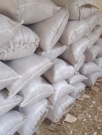 تبن جت • عدد ٣٢ • نضيف