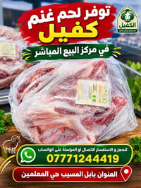 لحم غنم • الكفيل • بابل المسيب