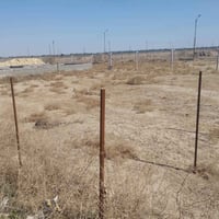 المنصور • ٤٤٠م • طابو زراعي