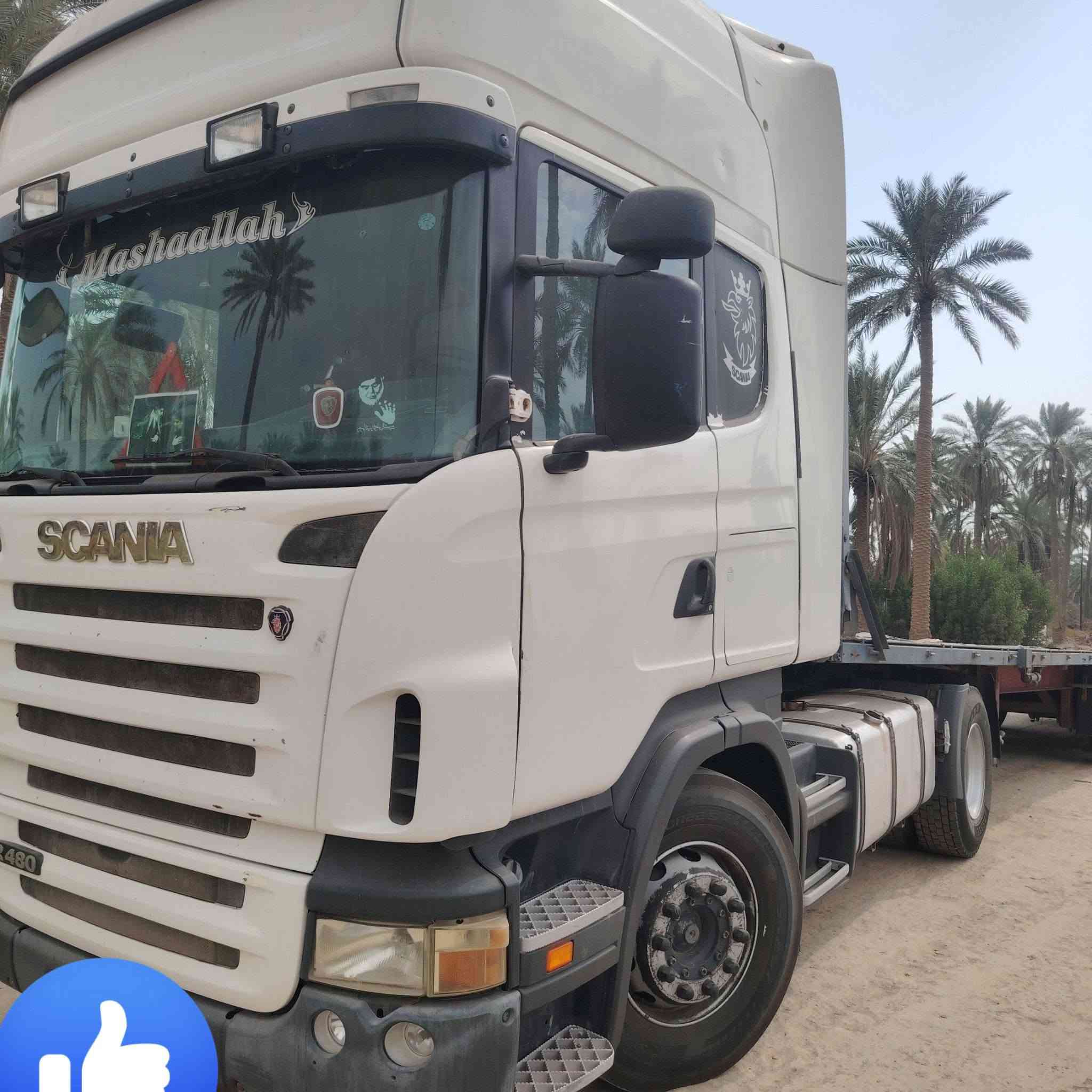 سكانية • ٢٠٠٨ • واقع حال