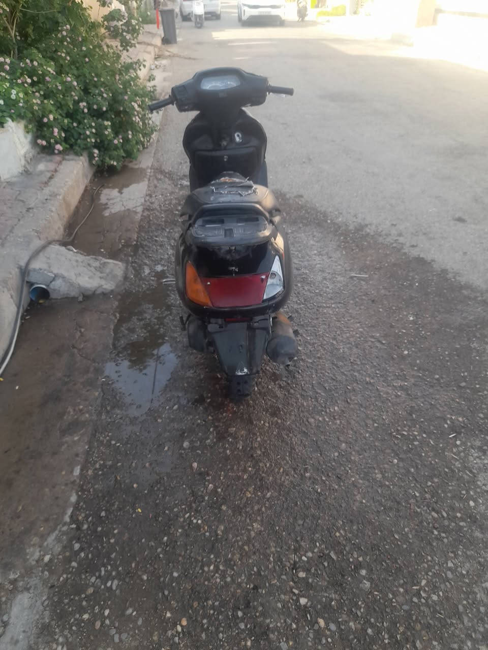سبيسي • ياباني • ١٥٠