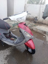 ماكس منغولي • نضيفه • سلف
