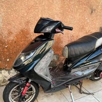 سكنس فحل • مزوعة • دسك خلفي