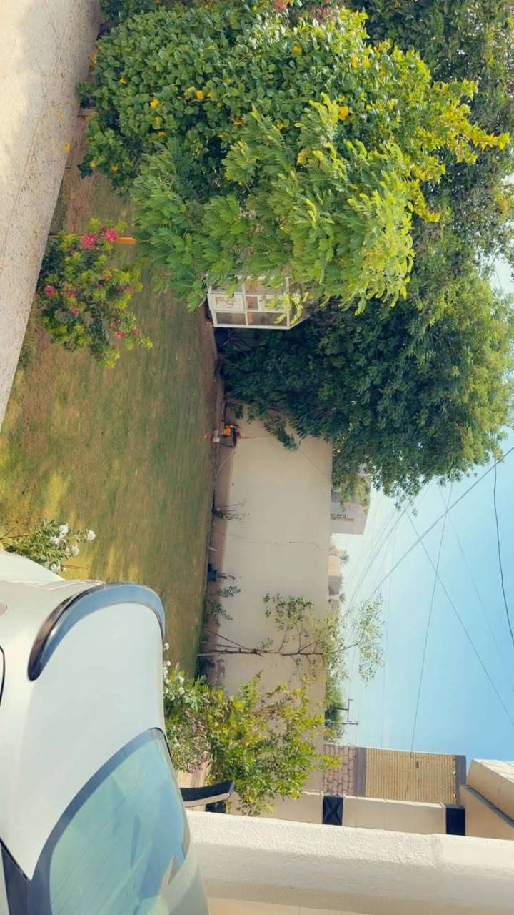 الرمادي • طابو زراعي • ٣٩٠م