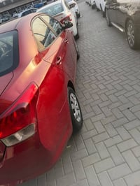 رينا خليجي • ٢٠٢٠ • رقم اربيل