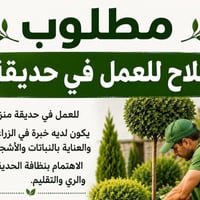 فلاح حدائق • تنظيف • ابي غرق