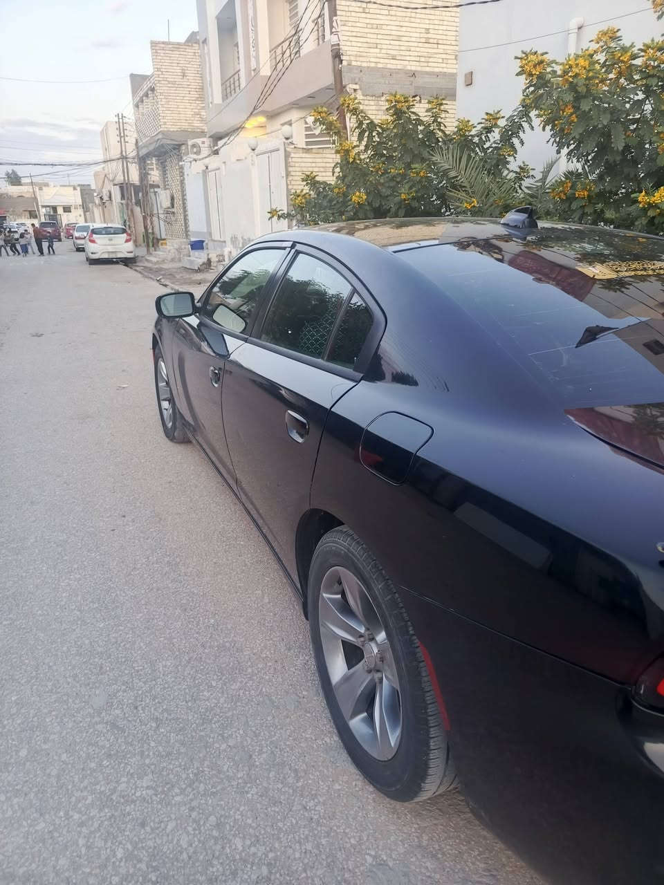 جارجر موديل 17اصل للبيع  او مرواس حادثه جاملغ وبنيد جهة العبري مكينه 3600 وكير كفاله وحدات خير من الله وتبريد  ثلج السعر 165وبيها مجال رقم بغداد تريد وكاله تريد مداور بكيفك هذا الرقم الاستفسار ***********

