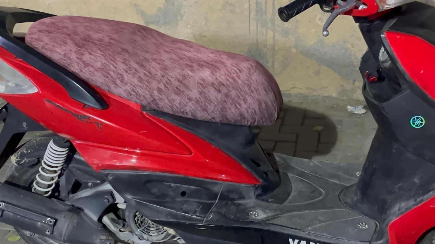 سكنس فحل • نوزل خطين • زنون اصلي