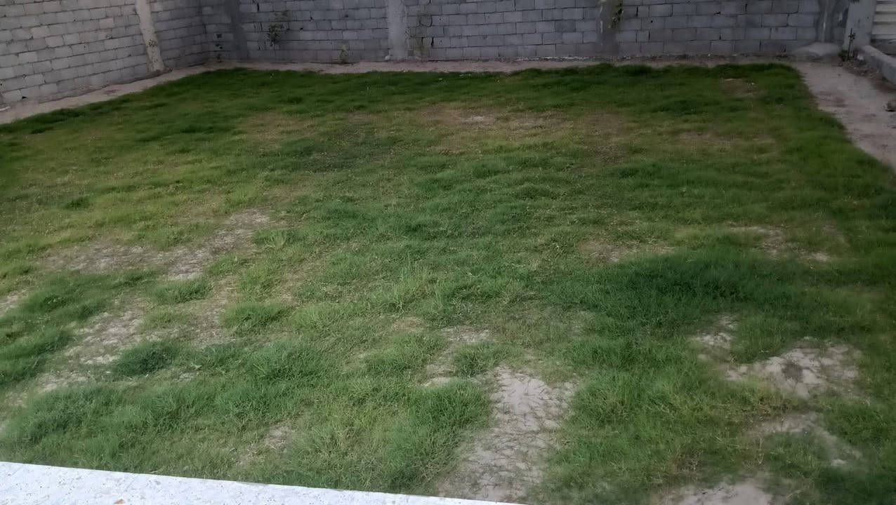 بيت حديث مساحه 600 و 50 متر طابقين  بناء 2026  4 غرف حمامات شرقي وربي كامرات مراقبه مع حديقه كبيره جدا مع ماي نهر وماي اساله وكهرباء خط مولده  مع نخل خستاوي نشو وزهدي يبعد عن التبليط 30 متر  عرض الشارع 10 متر طابو زراعي سند 25 باسم صاحب البيت شرط تحويل باسم المشتري خلال 6 ايام حله ورديه منطقة البنافع بدايت المنطقه وجه البيت  مقابل مجمع ابو سجاد السعر 243 اتصال *********** او ***********
