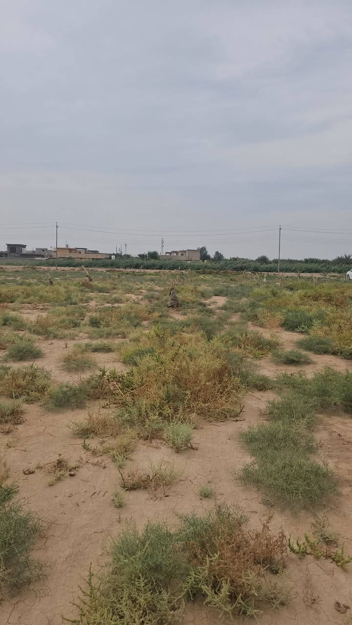 ٩ نيسان • دونم وربع • نخل وبئر