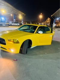 جرجر • ٢٠١٤ • ظربه