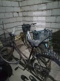 باسكلات • ٢ • سعر ثابت