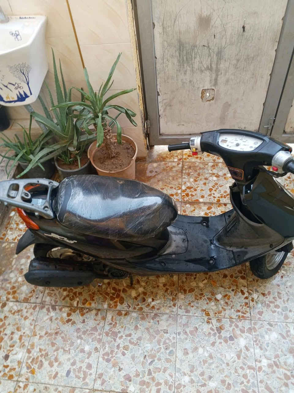 عصفوريه • نضافه • فول