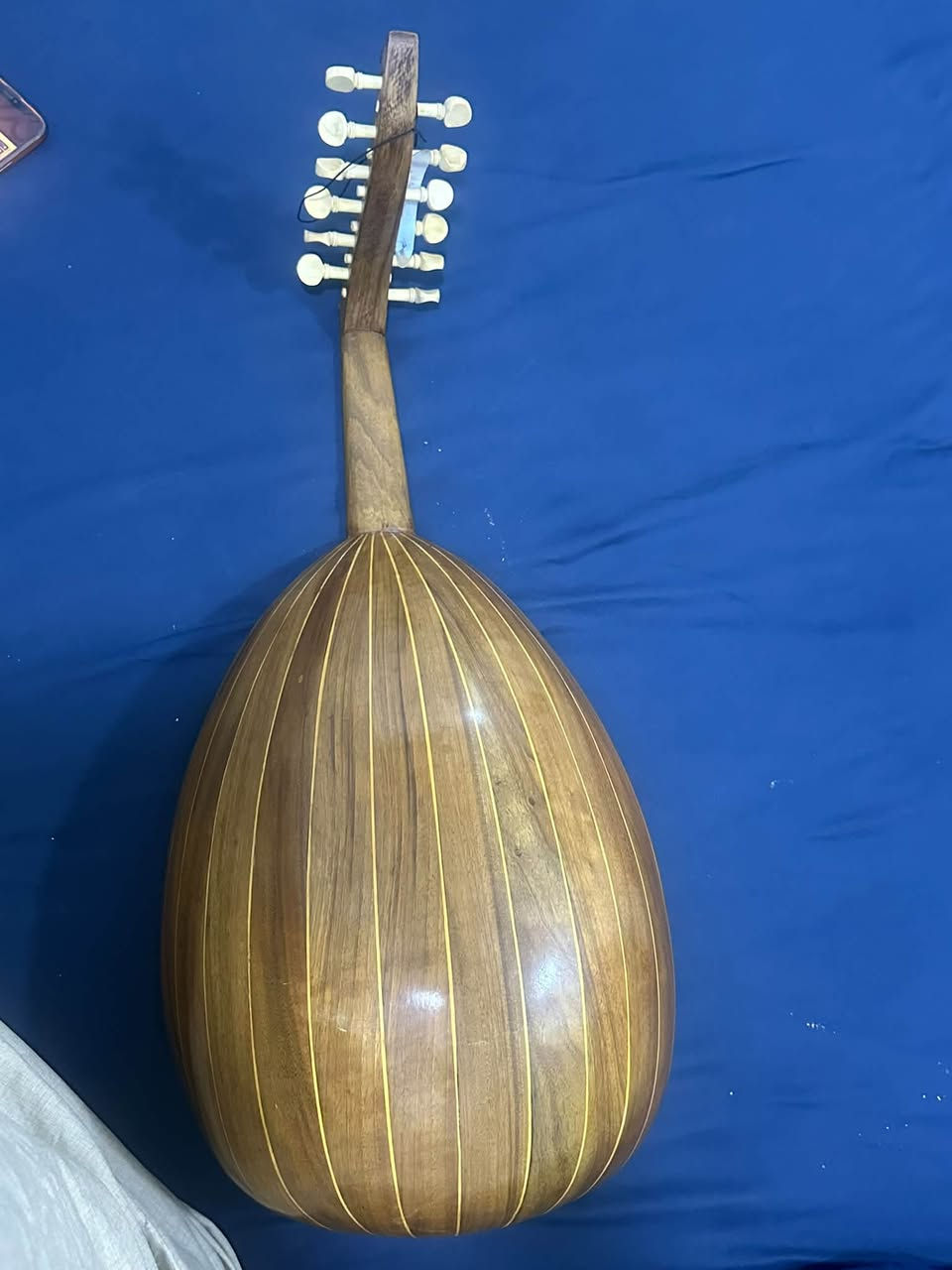 عود للبيع *********** واتساب بغداد مدينة الصدر
