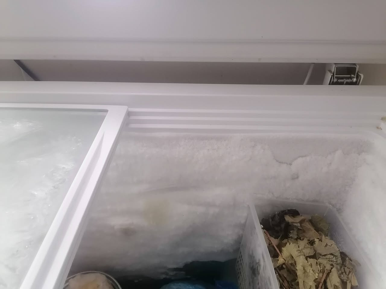 مجمدة 8 قدم
ضمان 10 سنوات فقط منقولة من المطبخ الئ الصالة
شركة هيس
السعر 300 متوفرة حاليا
***********
