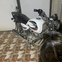 بوكسر جبلي • هندي اصلي • سلف شغال