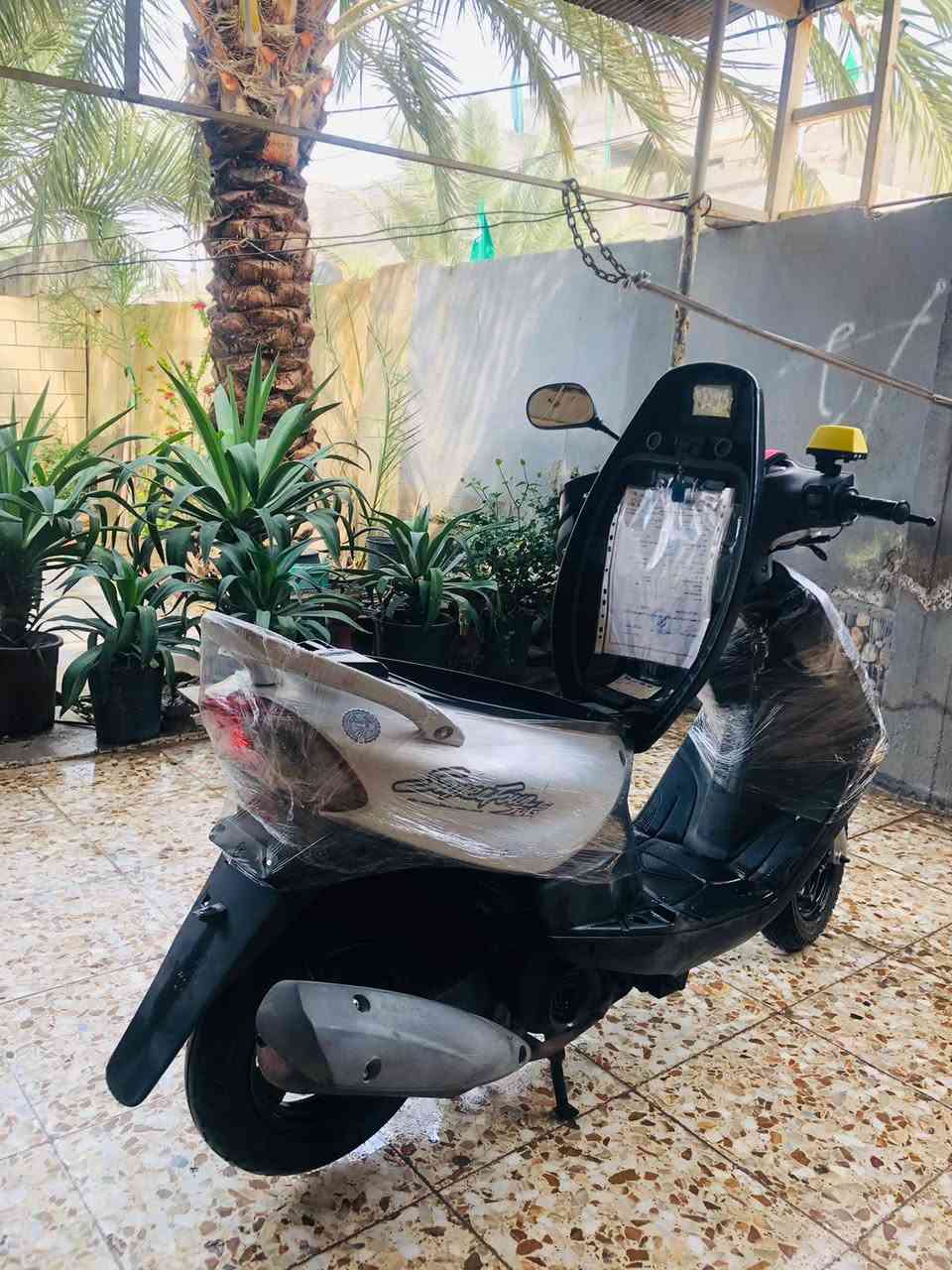 ماكس قجمة • كهربائية • سلف مكسورة