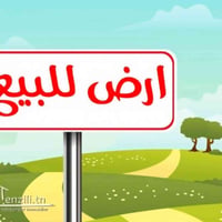 السمنت ٩٨ • ٢٥٠م • واجهة ١٢٫٥م