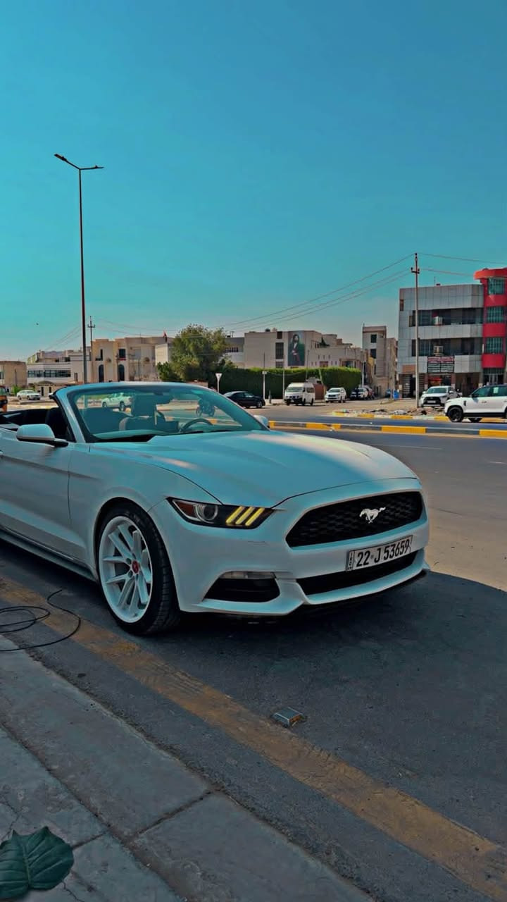 سلام عليكم موستنك 2015 فول موصفات رقم أربيل ابسمي سيارة اعلة فئا بل موستنك 6 سلندر سيارة نضيفة حيل ومكفولة من أي نقص مكاني بغداد ***********
