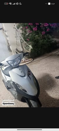 ماكس عدله • كفاله • مامفتوح
