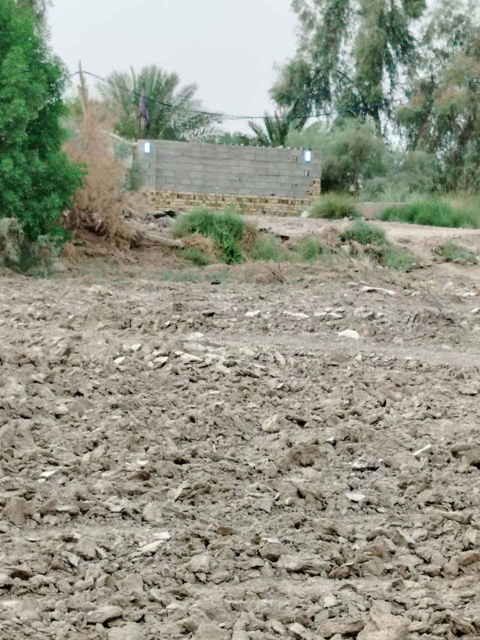 ٥ دوانم • طريق السنية • على الشط
