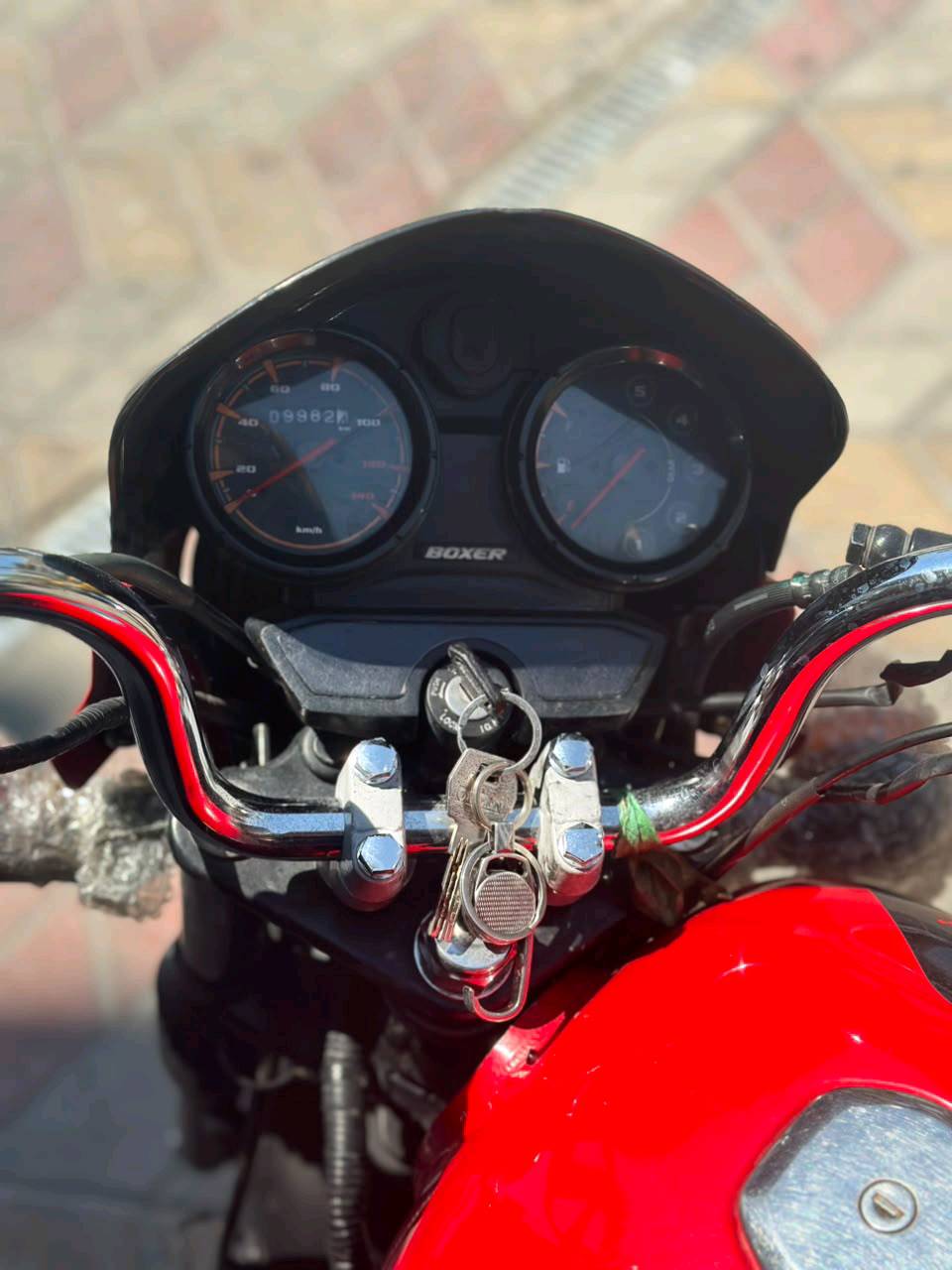بوكسر • ٢٣ • مرقمه