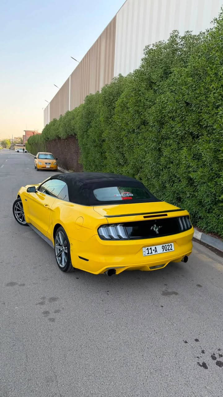 �🔥 للبيع | FORD MUSTANG 2015 CONVERTIBLE 🔥🔥
🇺🇸 فورد موستنغ 2015 كشف
🏁 محرك 3.7 V6
⚙️ أوتوماتيك | دفع خلفي
🔓 كشف كهربائي
📍 الممشى: 103 ألف ميل تقريباً
🔢 رقم بغداد مميز ⭐

✨ شكل رياضي وفخم وحضور قوي بالشارع
🚘 السيارة جاهزة للفحص
🔍 الفحص مفتوح للمشتري
حادث السياره جاملغ خلفي فقط بقيه السياره كلها سليمه 
🅿️
💰 السعر: 145 🍋
📞 للتواصل: ***********

🔥 Mustang… مو مجرد سيارة، هذا إحساس. 🔥

للجادين فقط، والله يرزق الجميع 🌹
