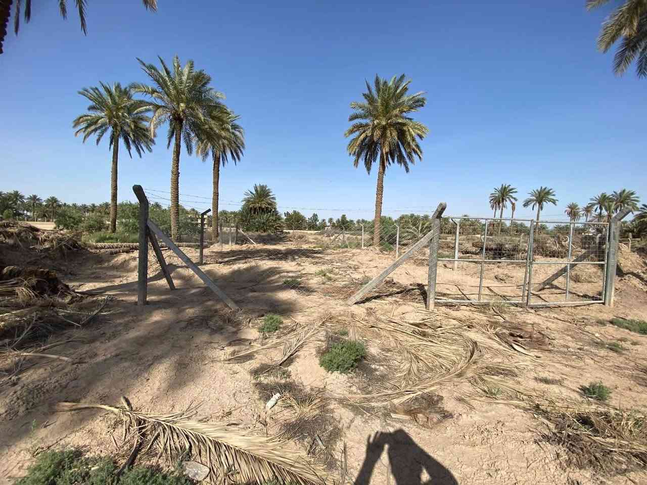 سلام عليكم أرض 1000 متر وموجود 200 متر وموجود 300 متر وموجود 500 طابو زراعي سند 25 تحويل مباشر ماء وكهرباء الاستفسار ***********

