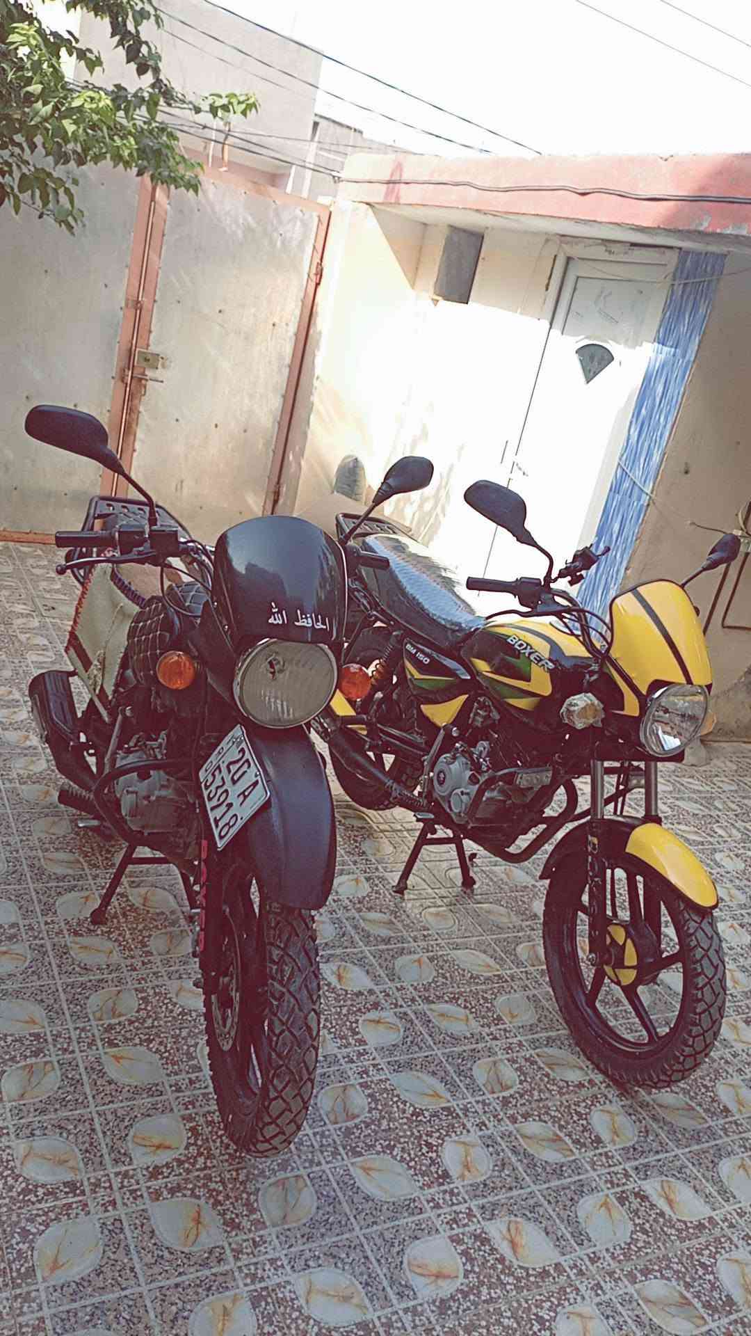 بوكسر • ٢٠٢٢ • مكفول
