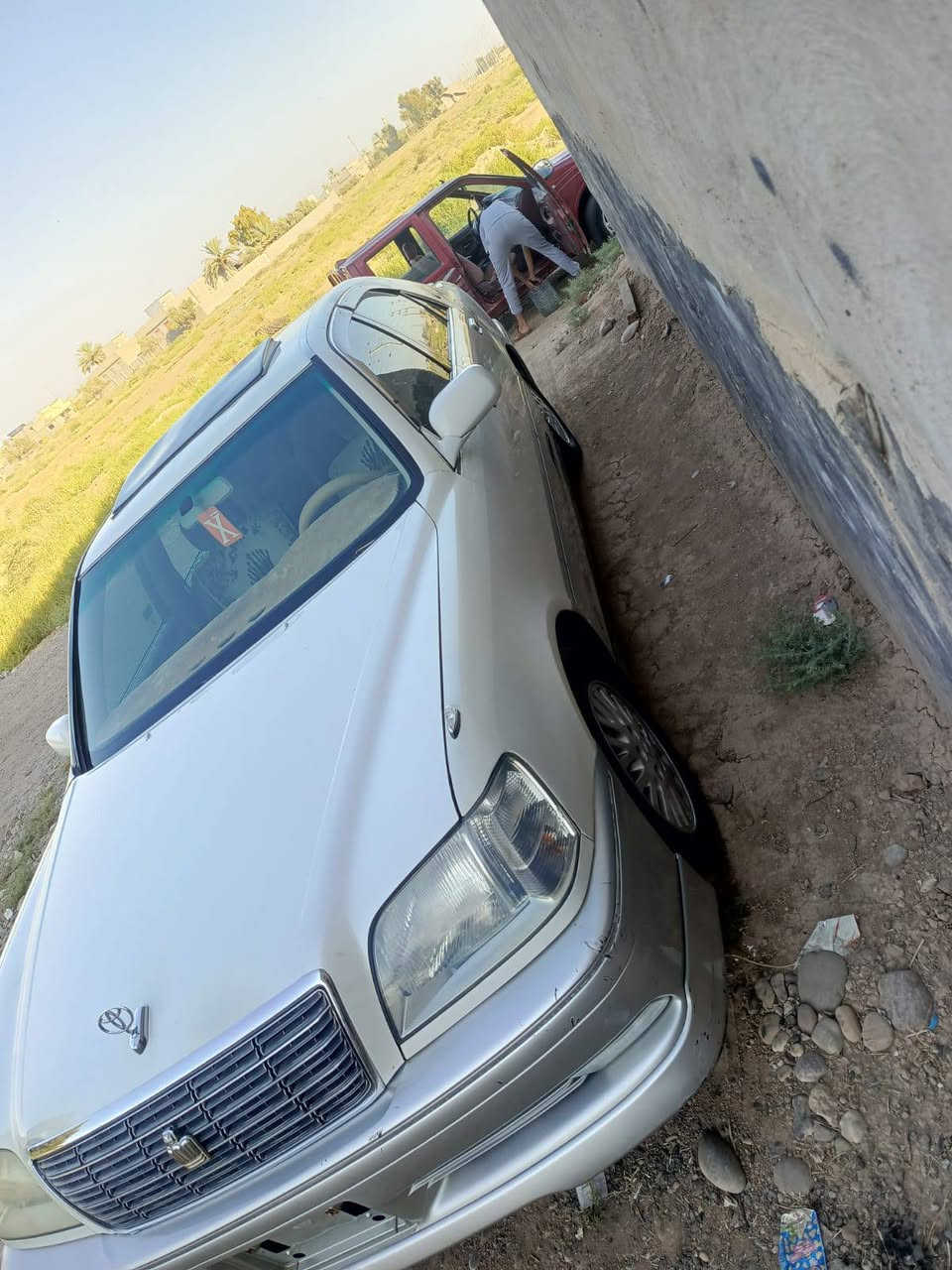 ملكة • ديالى • السعر زين