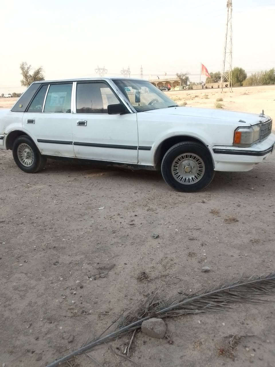 سلام عليكم سوبر كفاله عامه رقم بغداد دولي سنويه 31 مداور ثاني يوم كهربائيات حداده كله جديد مكان بصره الخور سعر 29 وبيها مجال مكينه وكير شاصي بلكارتون***********
