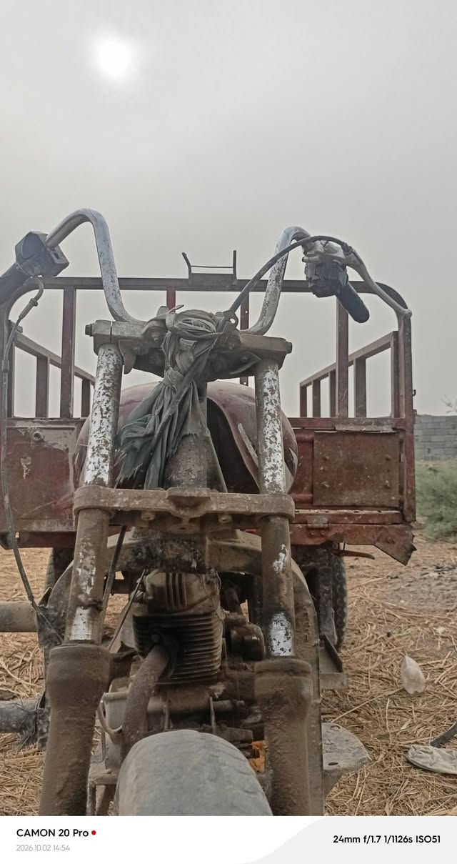 ستوته • شاصي ملحوم • بصرة
