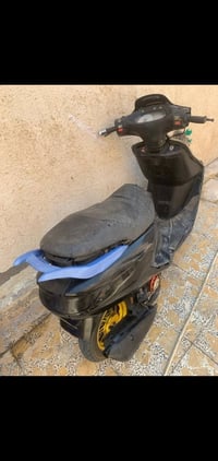 فراشة • فحل • مامفتوح
